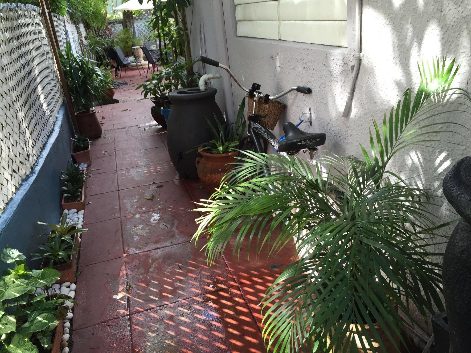 Coqui del Mar - LGBTQ Hotel - Adults Only San Juan Esterno foto
